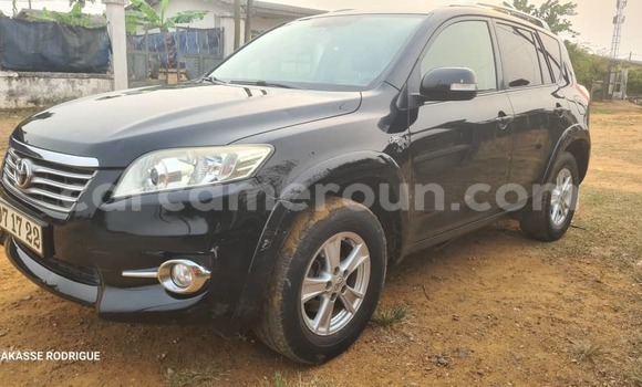 Buy Used Toyota RAV4 Black Car in Douala in Littoral Cameroon Buy Used Toyota RAV4 Black Car in Douala in Littoral Cameroon