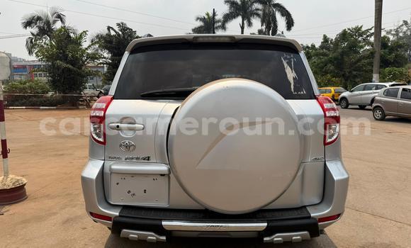 Acheter Neuf Voiture Toyota RAV4 Gris à Yaoundé, Central Cameroon Acheter Neuf Voiture Toyota RAV4 Gris à Yaoundé, Central Cameroon