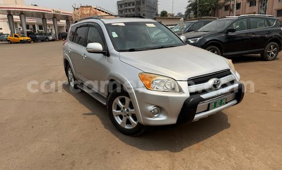 Acheter Neuf Voiture Toyota RAV4 Gris à Yaoundé, Central Cameroon Acheter Neuf Voiture Toyota RAV4 Gris à Yaoundé, Central Cameroon