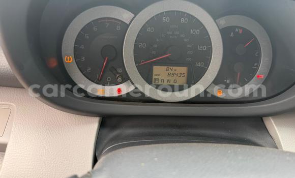 Acheter Neuf Voiture Toyota RAV4 Gris à Yaoundé, Central Cameroon Acheter Neuf Voiture Toyota RAV4 Gris à Yaoundé, Central Cameroon