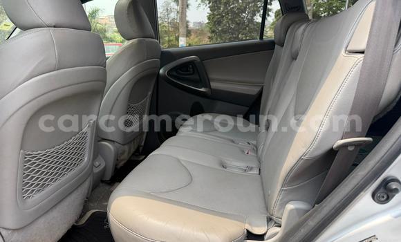 Acheter Neuf Voiture Toyota RAV4 Gris à Yaoundé, Central Cameroon Acheter Neuf Voiture Toyota RAV4 Gris à Yaoundé, Central Cameroon