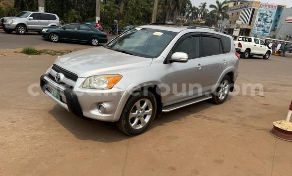 Acheter Neuf Voiture Toyota RAV4 Gris à Yaoundé, Central Cameroon Acheter Neuf Voiture Toyota RAV4 Gris à Yaoundé, Central Cameroon