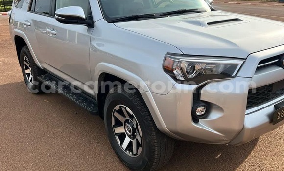Buy New Toyota 4Runner Silver Car in Yaounde in Central Cameroon Buy New Toyota 4Runner Silver Car in Yaounde in Central Cameroon