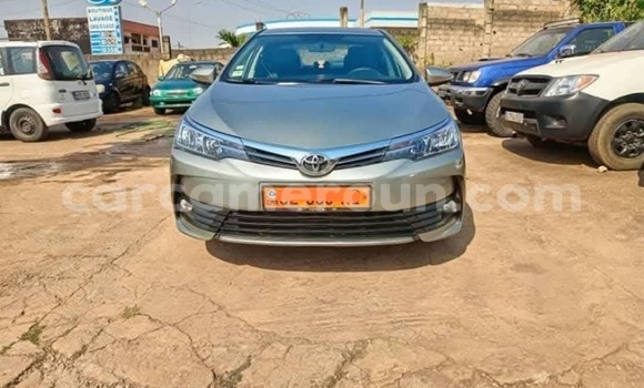 Acheter Occasion Voiture Toyota Corolla Gris à Yaoundé, Central Cameroon