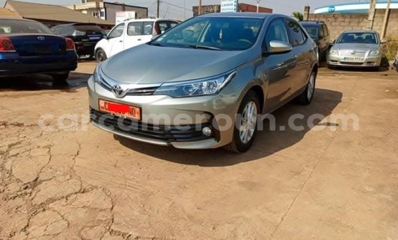 Acheter Occasion Voiture Toyota Corolla Gris à Yaoundé, Central Cameroon Acheter Occasion Voiture Toyota Corolla Gris à Yaoundé, Central Cameroon