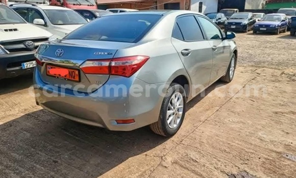 Acheter Occasion Voiture Toyota Corolla Gris à Yaoundé, Central Cameroon Acheter Occasion Voiture Toyota Corolla Gris à Yaoundé, Central Cameroon
