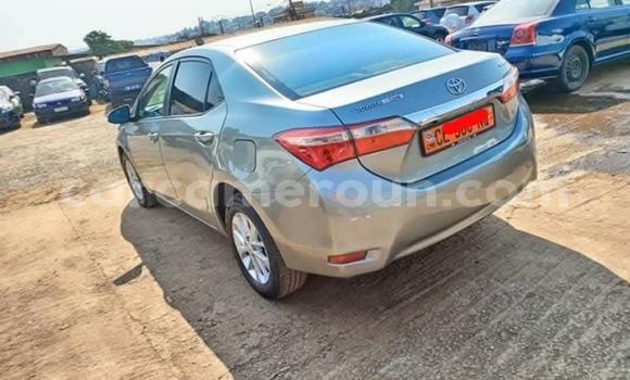 Acheter Occasion Voiture Toyota Corolla Gris à Yaoundé, Central Cameroon Acheter Occasion Voiture Toyota Corolla Gris à Yaoundé, Central Cameroon