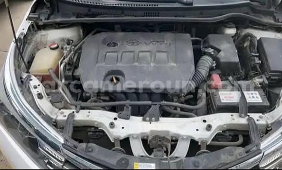 Acheter Occasion Voiture Toyota Corolla Gris à Yaoundé, Central Cameroon Acheter Occasion Voiture Toyota Corolla Gris à Yaoundé, Central Cameroon
