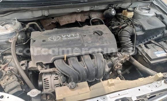 Sayi Na hannu Toyota Corolla Azurfa Mota in Douala a Ƙasar Kamaru Sayi Na hannu Toyota Corolla Azurfa Mota in Douala a Ƙasar Kamaru
