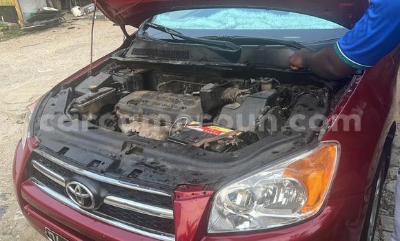Acheter Occasion Voiture Toyota RAV4 Rouge à Douala, Littoral Cameroon Acheter Occasion Voiture Toyota RAV4 Rouge à Douala, Littoral Cameroon