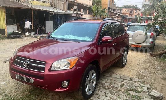Acheter Occasion Voiture Toyota RAV4 Rouge à Douala, Littoral Cameroon Acheter Occasion Voiture Toyota RAV4 Rouge à Douala, Littoral Cameroon