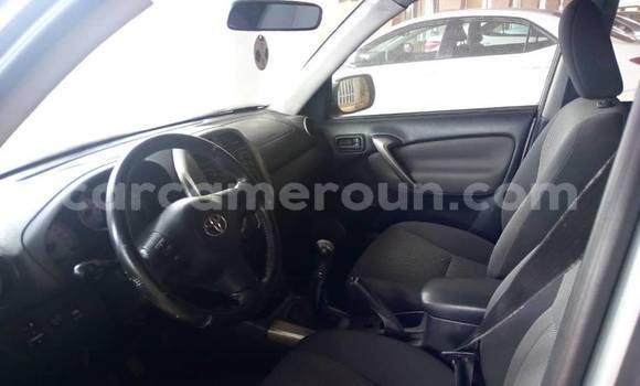 Sayi Na hannu Toyota RAV4 Azurfa Mota in Yaounde a Babban Kamaru Sayi Na hannu Toyota RAV4 Azurfa Mota in Yaounde a Babban Kamaru