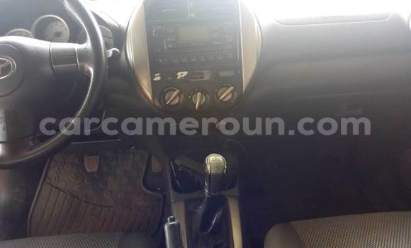 Sayi Na hannu Toyota RAV4 Azurfa Mota in Yaounde a Babban Kamaru Sayi Na hannu Toyota RAV4 Azurfa Mota in Yaounde a Babban Kamaru