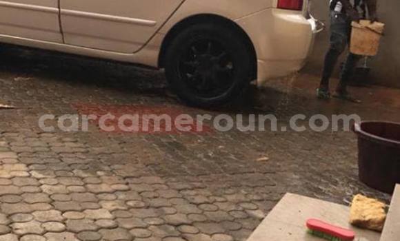 Sayi Na hannu Toyota Allex White Mota in Yaounde a Babban Kamaru Sayi Na hannu Toyota Allex White Mota in Yaounde a Babban Kamaru