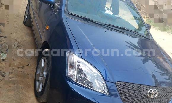 Sayi Na hannu Toyota Corolla Blue Mota in Douala a Ƙasar Kamaru