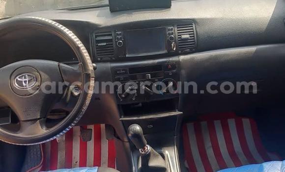 Sayi Na hannu Toyota Corolla Blue Mota in Douala a Ƙasar Kamaru Sayi Na hannu Toyota Corolla Blue Mota in Douala a Ƙasar Kamaru