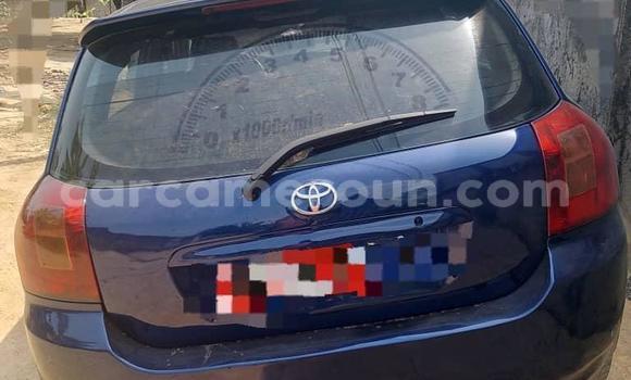 Sayi Na hannu Toyota Corolla Blue Mota in Douala a Ƙasar Kamaru Sayi Na hannu Toyota Corolla Blue Mota in Douala a Ƙasar Kamaru