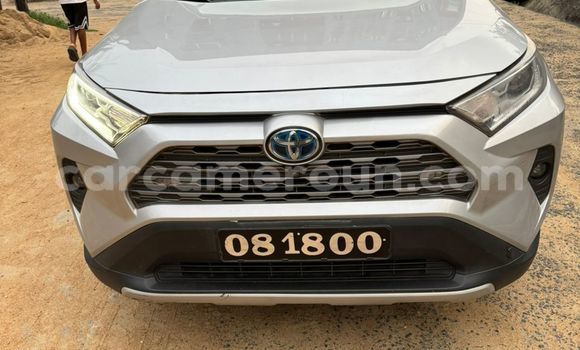 Sayi Na hannu Toyota RAV4 Azurfa Mota in Douala a Ƙasar Kamaru Sayi Na hannu Toyota RAV4 Azurfa Mota in Douala a Ƙasar Kamaru