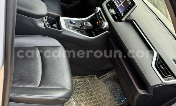 Sayi Na hannu Toyota RAV4 Azurfa Mota in Douala a Ƙasar Kamaru Sayi Na hannu Toyota RAV4 Azurfa Mota in Douala a Ƙasar Kamaru