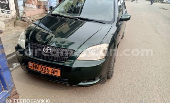 Sayi Na hannu Toyota Corolla Green Mota in Douala a Ƙasar Kamaru