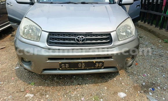 Sayi Na hannu Toyota RAV4 Azurfa Mota in Douala a Ƙasar Kamaru