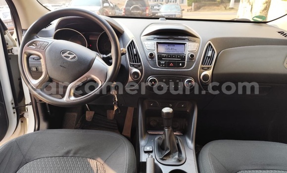 Buy Used Hyundai Tiburon White Car in Yaounde in Central Cameroon Buy Used Hyundai Tiburon White Car in Yaounde in Central Cameroon