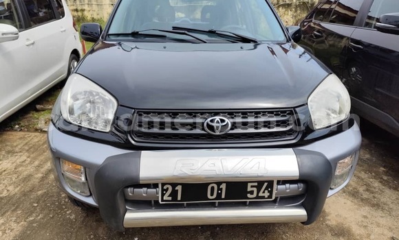 Acheter Neuf Voiture Toyota RAV4 Noir à Yaoundé, Central Cameroon