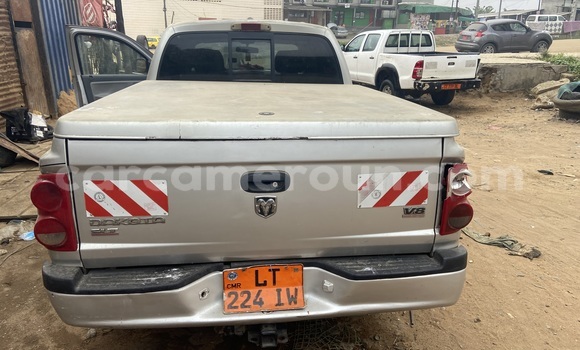 Buy Used Dodge Dakota Silver Car in Douala in Littoral Cameroon Buy Used Dodge Dakota Silver Car in Douala in Littoral Cameroon