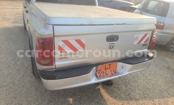 Buy Used Dodge Dakota Silver Car in Douala in Littoral Cameroon Buy Used Dodge Dakota Silver Car in Douala in Littoral Cameroon