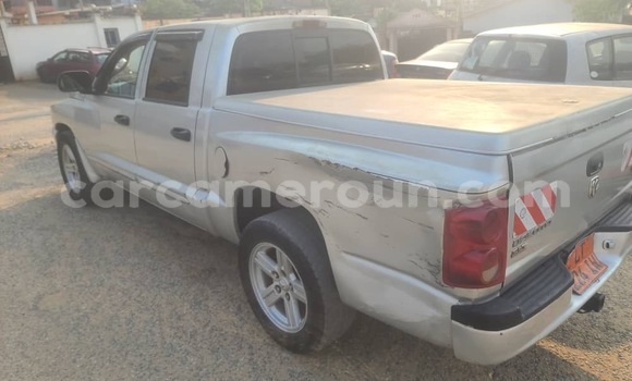 Buy Used Dodge Dakota Silver Car in Douala in Littoral Cameroon Buy Used Dodge Dakota Silver Car in Douala in Littoral Cameroon