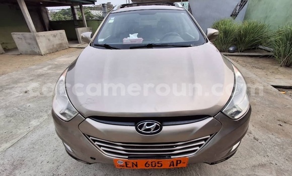 Buy Used Hyundai Tucson Brown Car in Douala in Littoral Cameroon