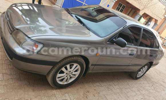 Acheter Occasion Voiture Toyota Carina Gris à Mbalmayo, Central Cameroon Acheter Occasion Voiture Toyota Carina Gris à Mbalmayo, Central Cameroon