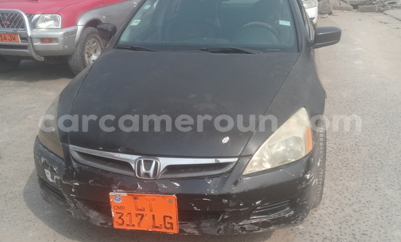 Buy Used Honda Accord Black Car in Douala in Littoral Cameroon