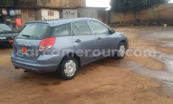 Buy Used Toyota Matrix Blue Car in Yaounde in Central Cameroon Buy Used Toyota Matrix Blue Car in Yaounde in Central Cameroon