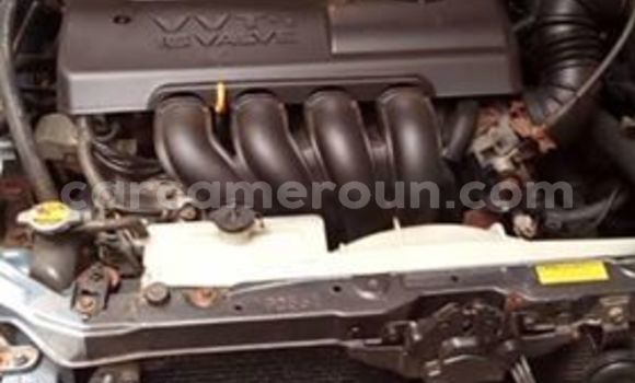 Buy Used Toyota Matrix Blue Car in Yaounde in Central Cameroon Buy Used Toyota Matrix Blue Car in Yaounde in Central Cameroon