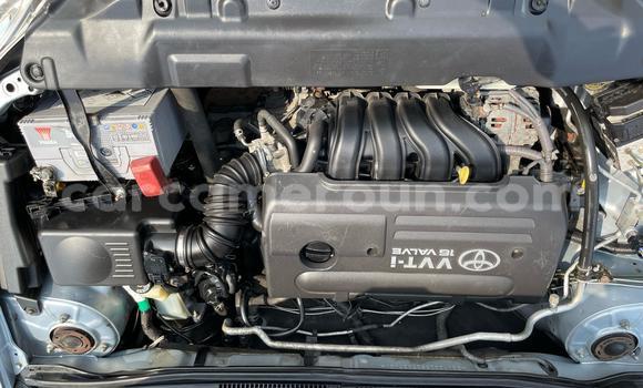 Sayi Na hannu Toyota Corolla Blue Mota in Douala a Ƙasar Kamaru Sayi Na hannu Toyota Corolla Blue Mota in Douala a Ƙasar Kamaru