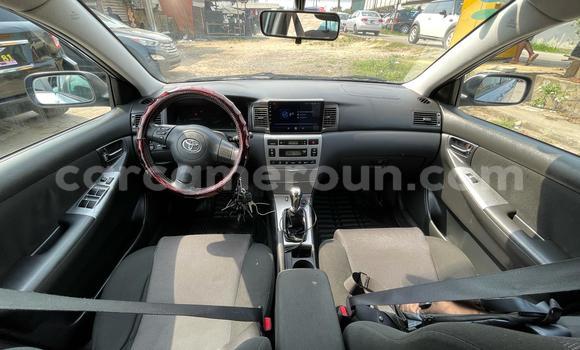 Sayi Na hannu Toyota Corolla Blue Mota in Douala a Ƙasar Kamaru Sayi Na hannu Toyota Corolla Blue Mota in Douala a Ƙasar Kamaru