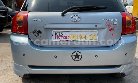 Sayi Na hannu Toyota Corolla Blue Mota in Douala a Ƙasar Kamaru Sayi Na hannu Toyota Corolla Blue Mota in Douala a Ƙasar Kamaru