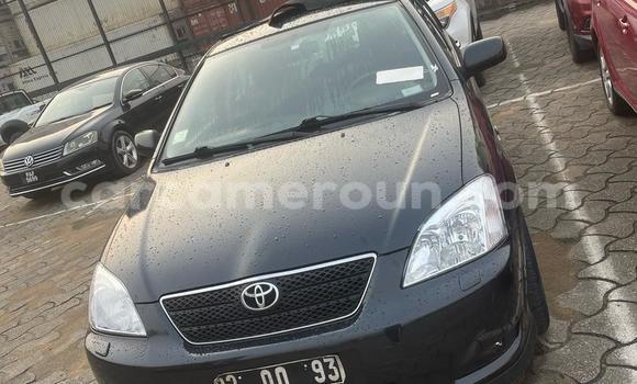 Sayi Na hannu Toyota Corolla Black Mota in Douala a Ƙasar Kamaru