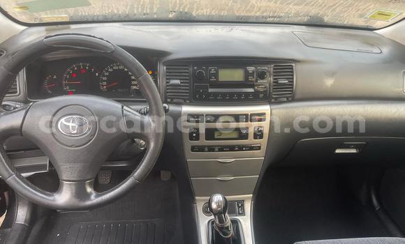Sayi Na hannu Toyota Corolla Black Mota in Douala a Ƙasar Kamaru Sayi Na hannu Toyota Corolla Black Mota in Douala a Ƙasar Kamaru