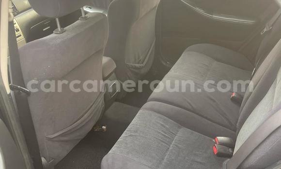 Sayi Na hannu Toyota Corolla Black Mota in Douala a Ƙasar Kamaru Sayi Na hannu Toyota Corolla Black Mota in Douala a Ƙasar Kamaru