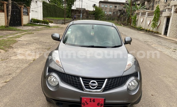 Acheter Import Voiture Nissan Juke Gris à Douala, Littoral Cameroon
