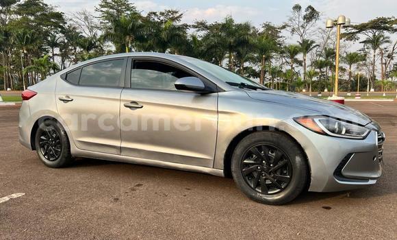 Sayi Na hannu Hyundai Elantra Azurfa Mota in Yaounde a Babban Kamaru Sayi Na hannu Hyundai Elantra Azurfa Mota in Yaounde a Babban Kamaru