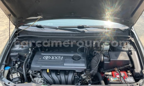 Acheter Occasion Voiture Toyota Corolla Autre à Douala, Littoral Cameroon Acheter Occasion Voiture Toyota Corolla Autre à Douala, Littoral Cameroon