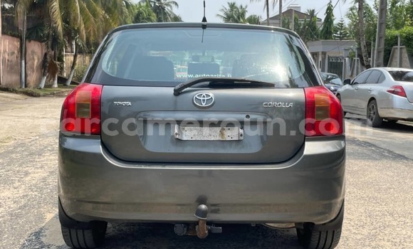 Acheter Occasion Voiture Toyota Corolla Autre à Douala, Littoral Cameroon Acheter Occasion Voiture Toyota Corolla Autre à Douala, Littoral Cameroon