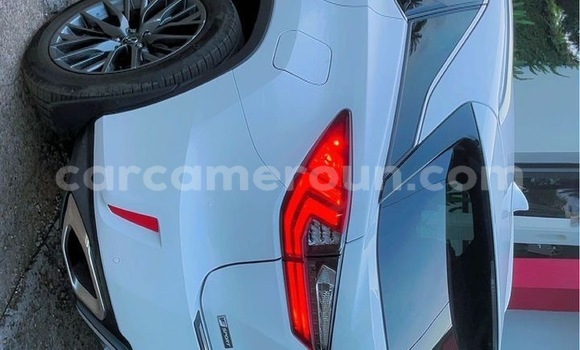 Buy Import Lexus RX 350 White Car in Douala in Littoral Cameroon Buy Import Lexus RX 350 White Car in Douala in Littoral Cameroon