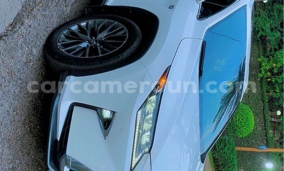 Buy Import Lexus RX 350 White Car in Douala in Littoral Cameroon Buy Import Lexus RX 350 White Car in Douala in Littoral Cameroon