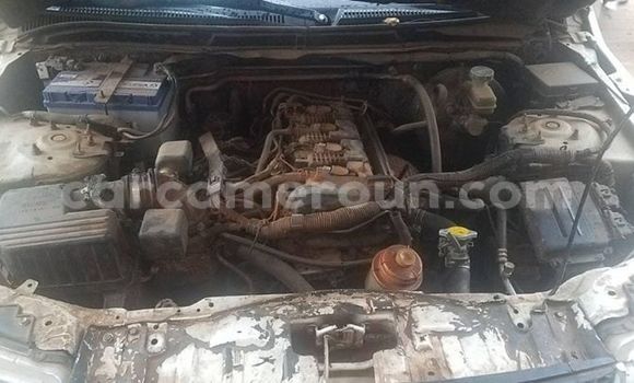 Buy Used Suzuki Grand Vitara White Car in Yaounde in Central Cameroon Buy Used Suzuki Grand Vitara White Car in Yaounde in Central Cameroon