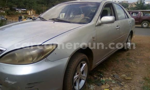 Buy Used Toyota Camry Silver Car in Yaounde in Central Cameroon Buy Used Toyota Camry Silver Car in Yaounde in Central Cameroon