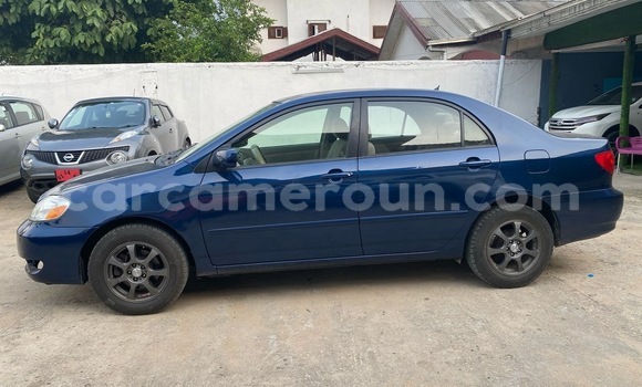 Sayi Imported Toyota Corolla Blue Mota in Douala a Ƙasar Kamaru Sayi Imported Toyota Corolla Blue Mota in Douala a Ƙasar Kamaru